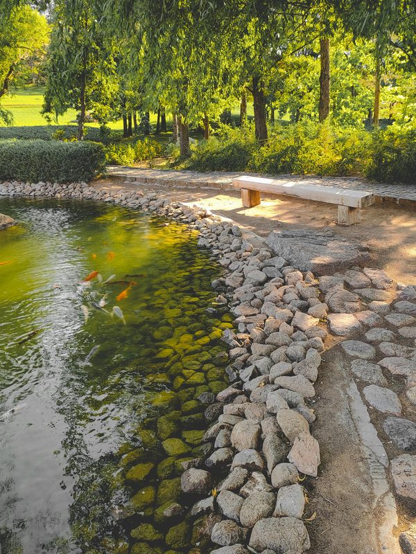 Transformez votre espace extérieur avec un paysagiste alpes-maritimes